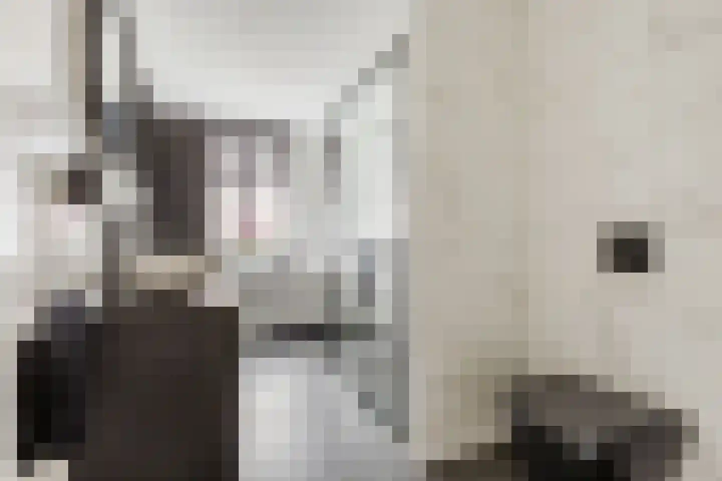 Vlotgras 9 Assendelft thumbnail 29