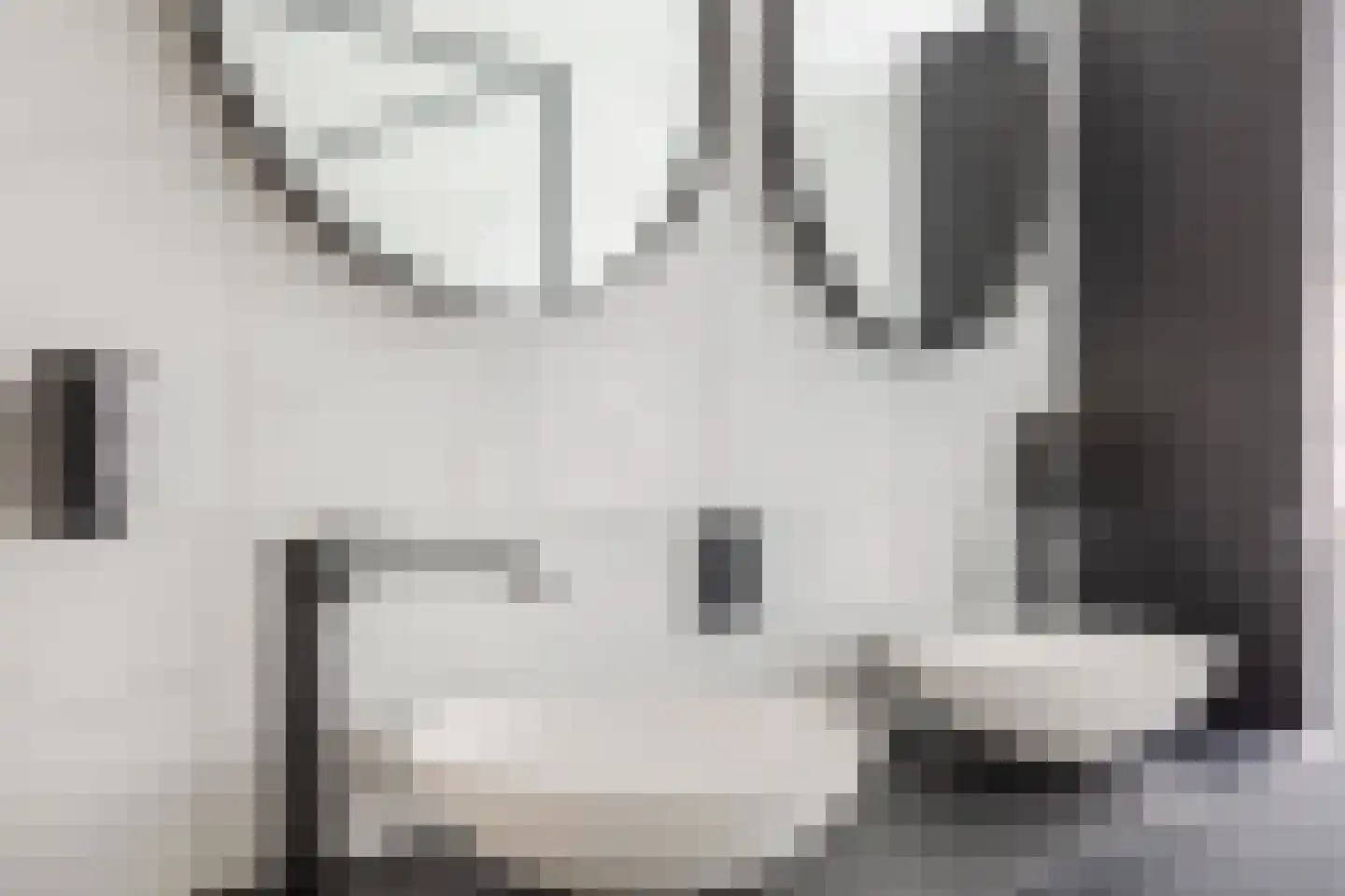 Vlotgras 9 Assendelft thumbnail 30