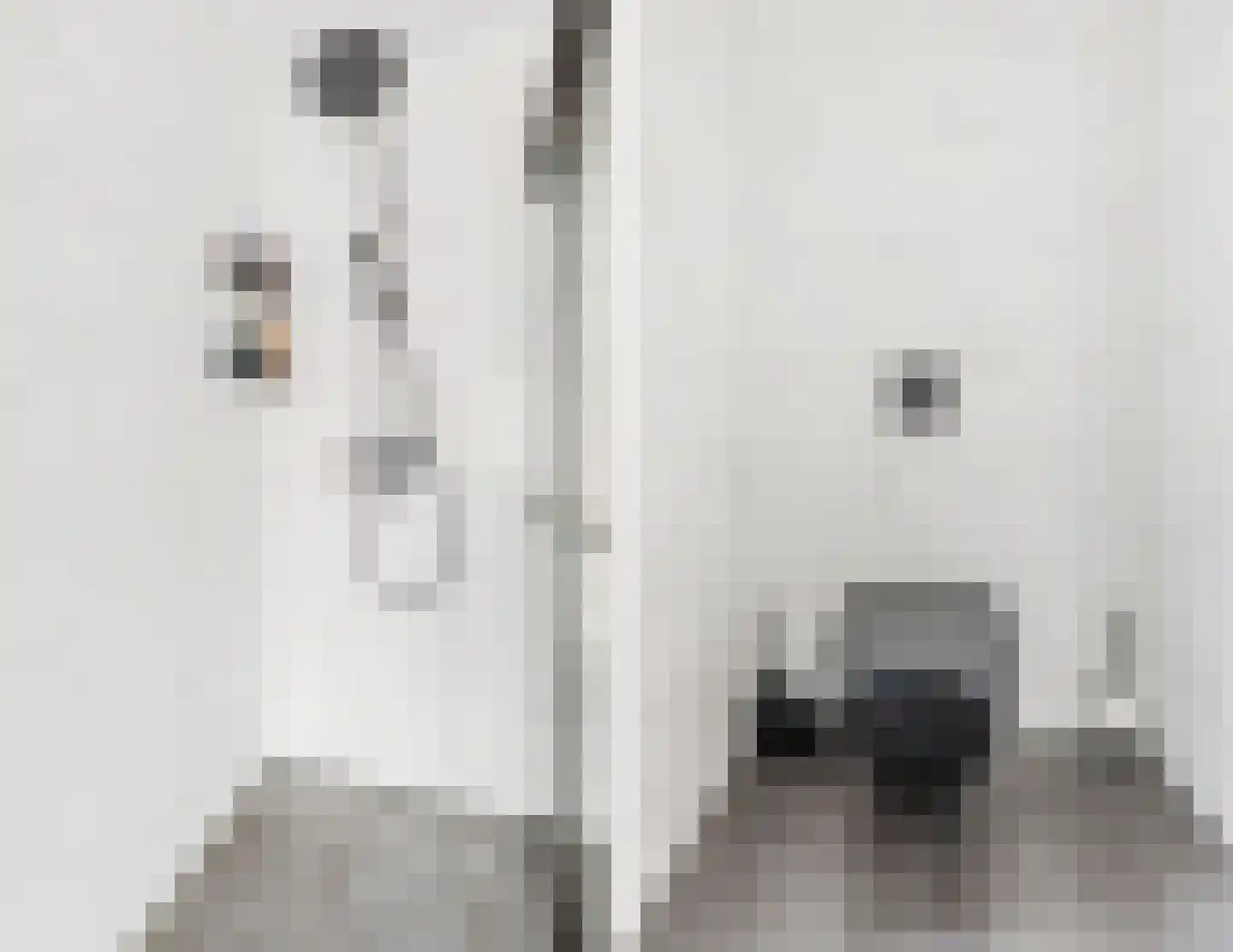 Vlotgras 9 Assendelft thumbnail 32