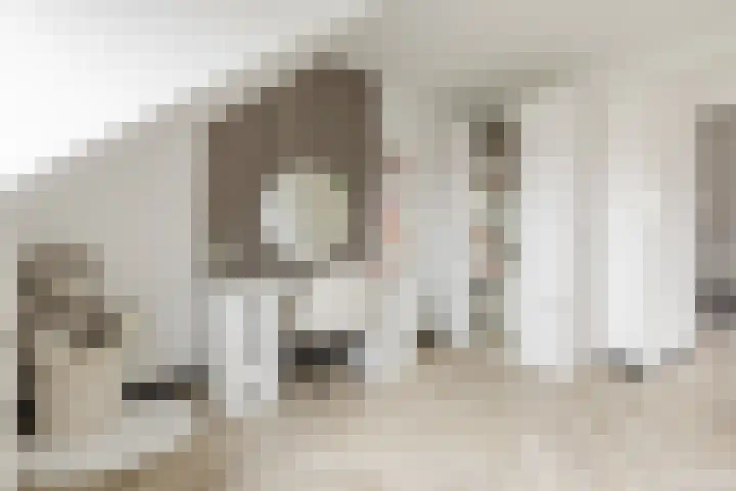 Vlotgras 9 Assendelft thumbnail 34