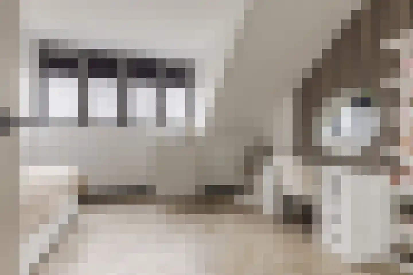 Vlotgras 9 Assendelft thumbnail 35