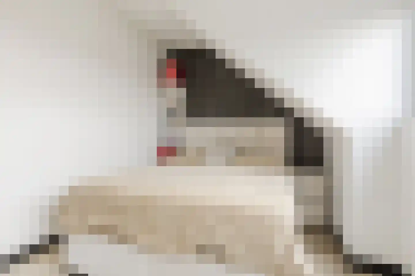 Vlotgras 9 Assendelft thumbnail 36