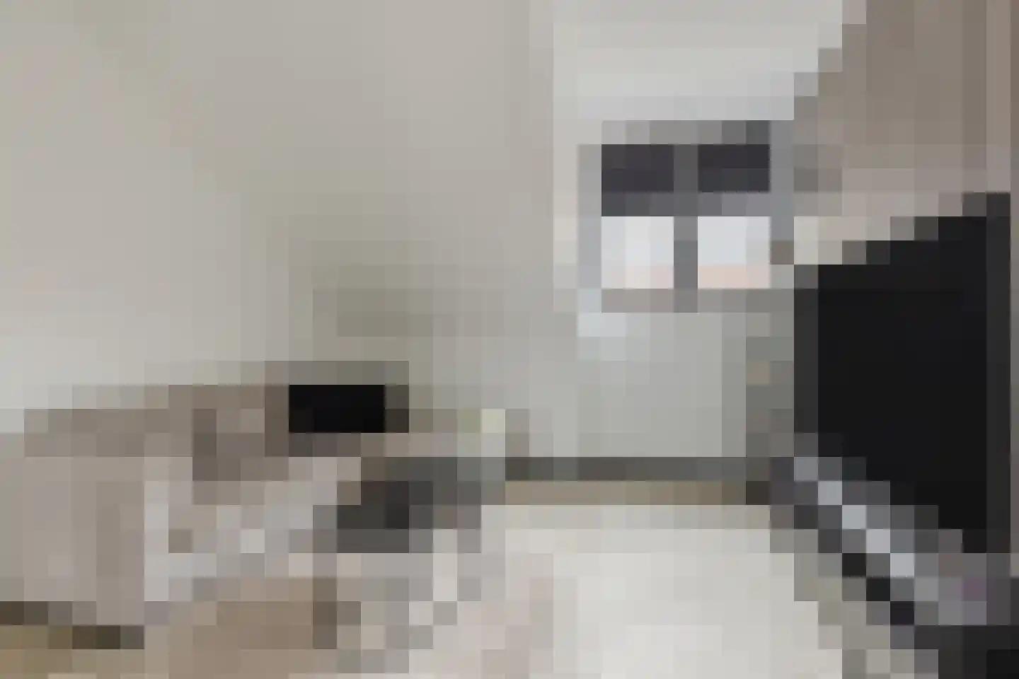 Vlotgras 9 Assendelft thumbnail 37