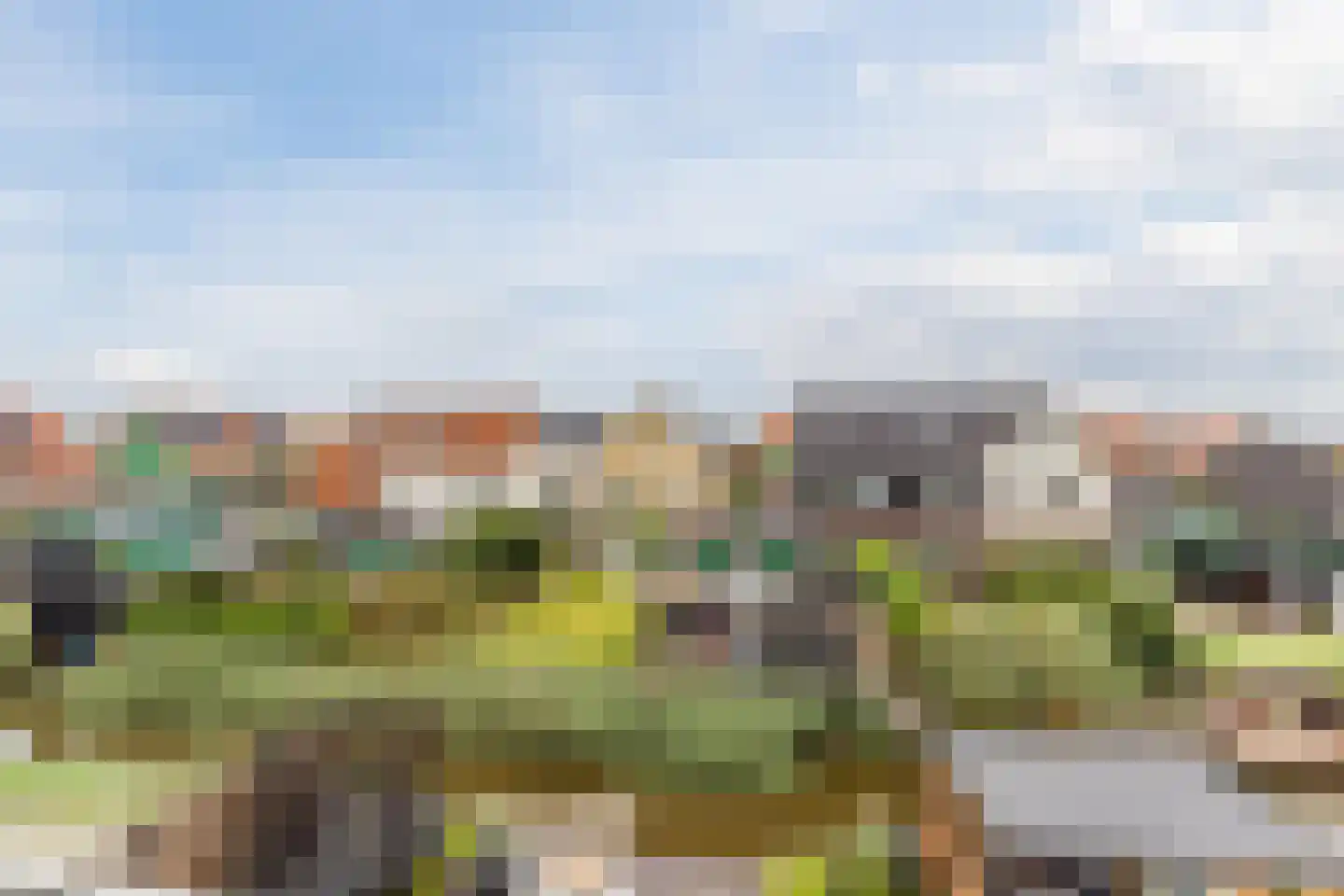 Vlotgras 9 Assendelft thumbnail 41