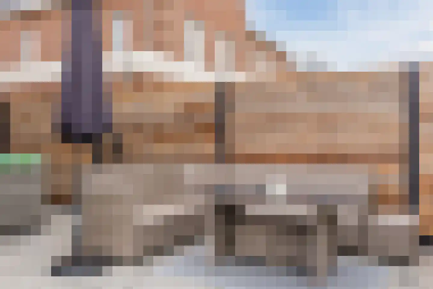 Vlotgras 9 Assendelft thumbnail 45