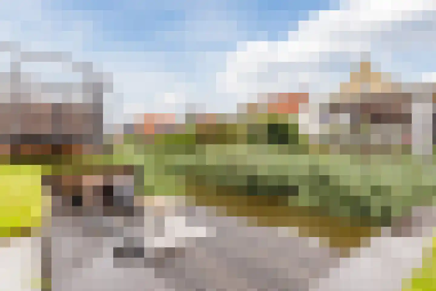 Vlotgras 9 Assendelft thumbnail 47