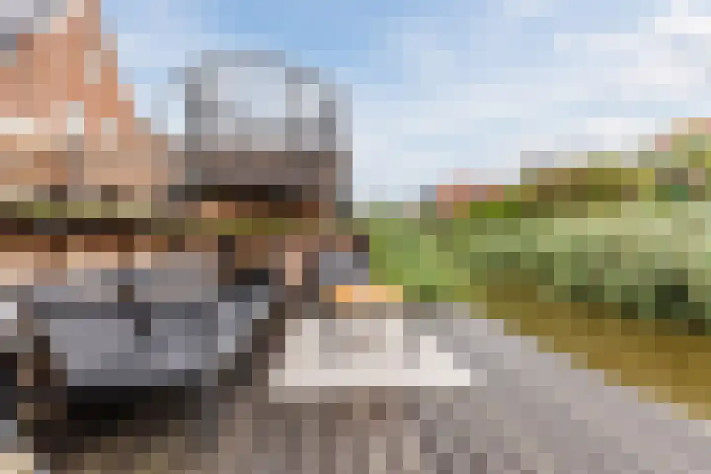 Vlotgras 9 Assendelft thumbnail 48