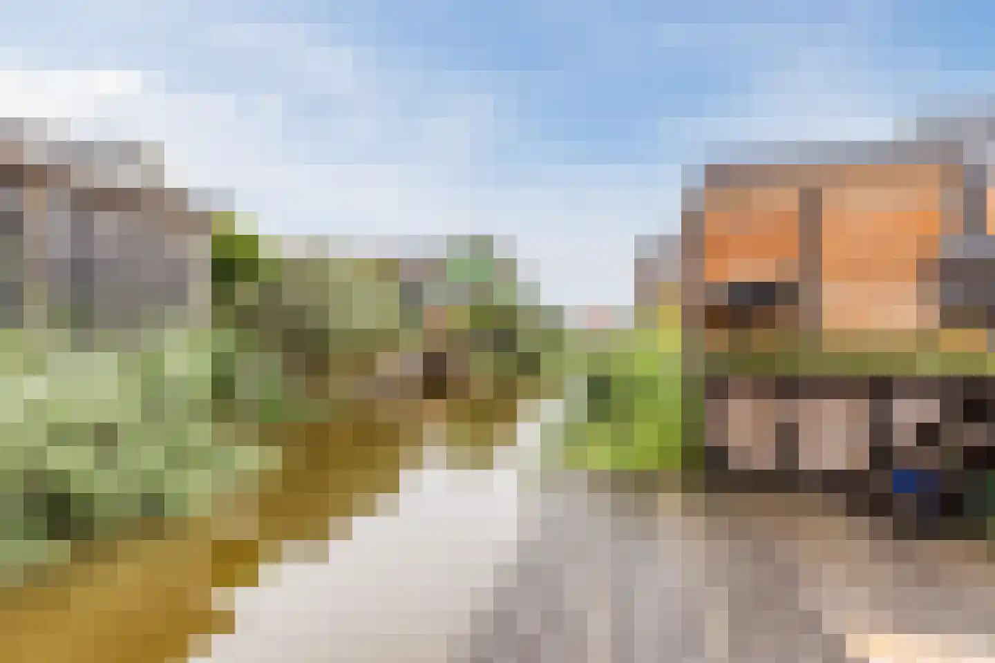 Vlotgras 9 Assendelft thumbnail 49