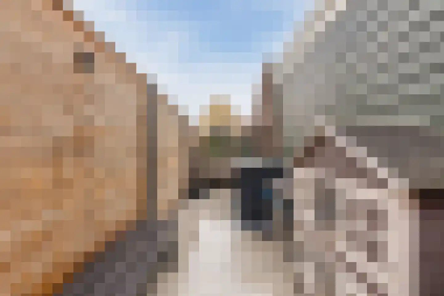 Vlotgras 9 Assendelft thumbnail 52