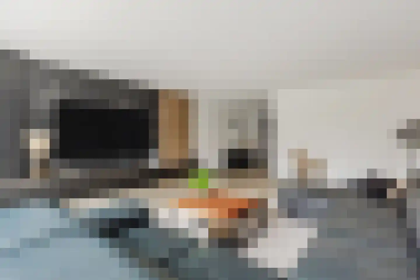 Vlotgras 9 Assendelft thumbnail 9