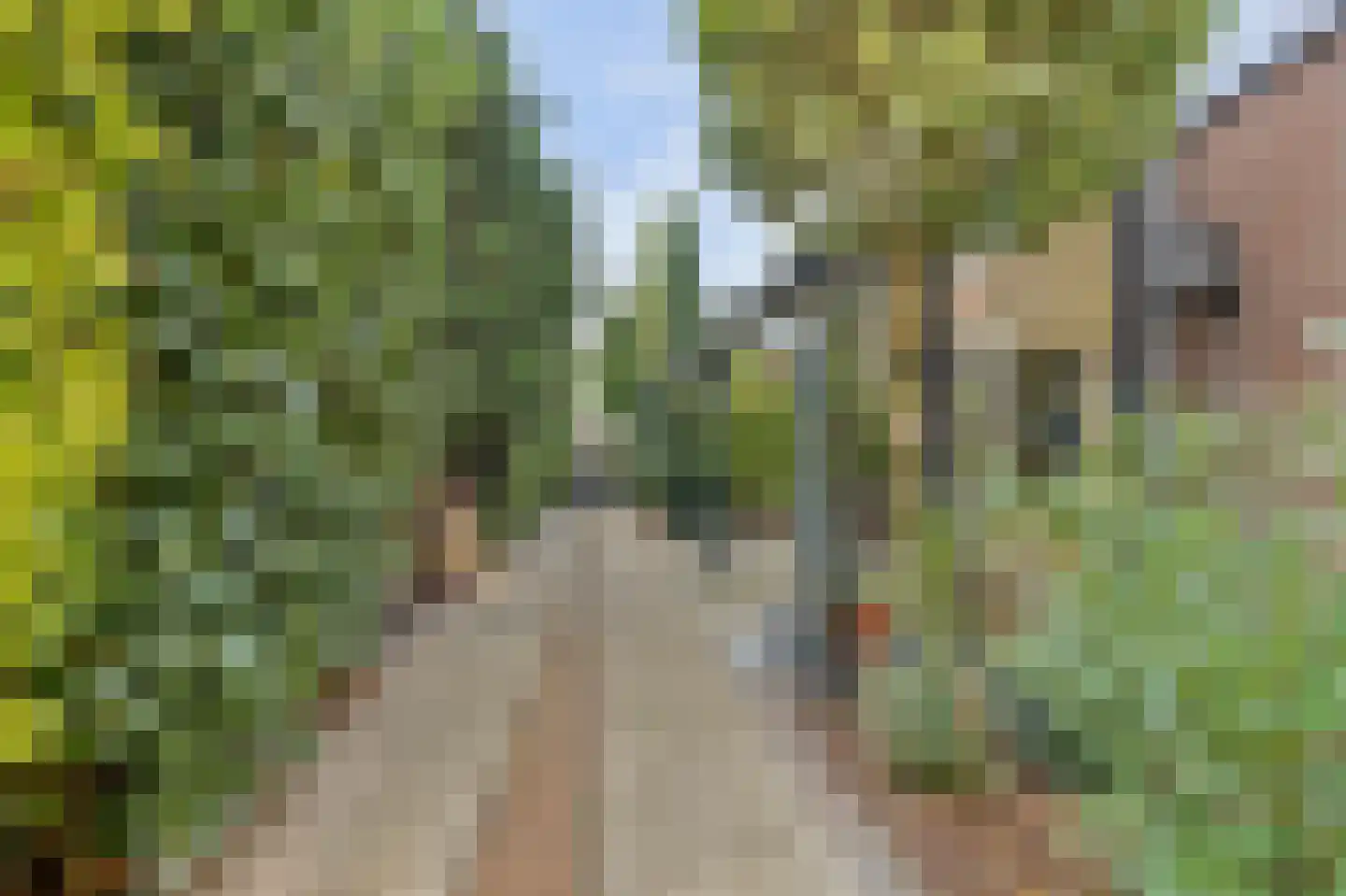 Vlotlaan 1 Monster thumbnail 31