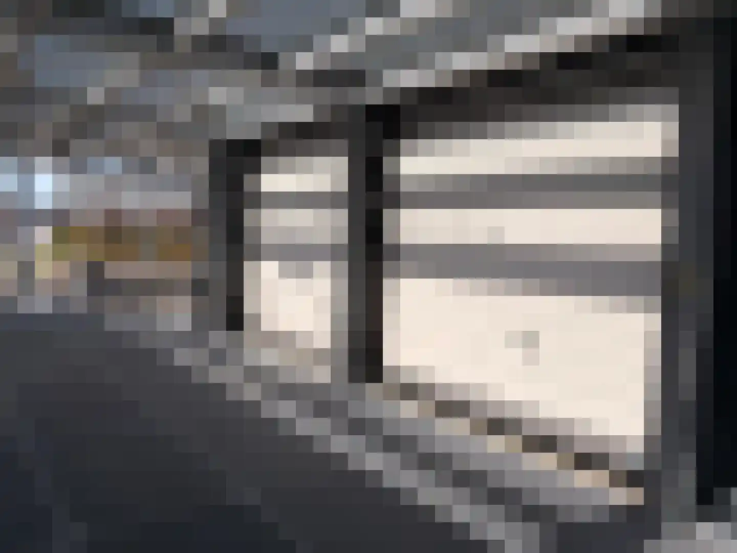 Vlotlaan 533 A Monster thumbnail 5