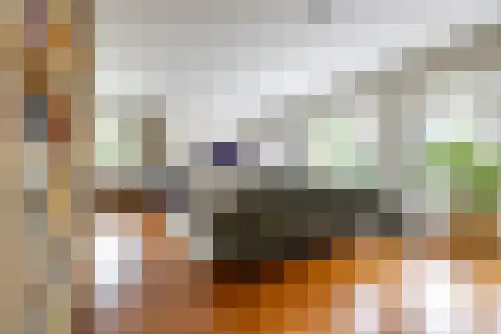 Vlotterspad 1 Delfzijl thumbnail 10