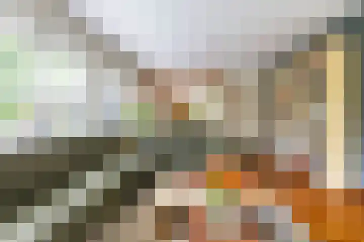 Vlotterspad 1 Delfzijl thumbnail 14