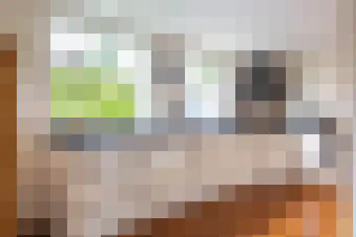 Vlotterspad 1 Delfzijl thumbnail 20