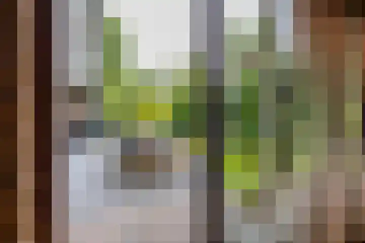 Vlotterspad 1 Delfzijl thumbnail 30