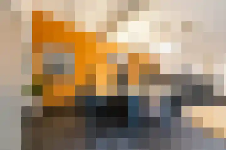 Vlotterspad 1 Delfzijl thumbnail 39