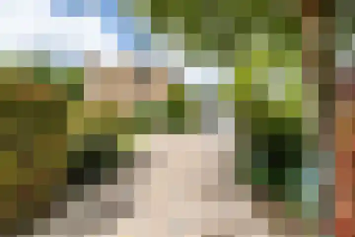Vlotterspad 1 Delfzijl thumbnail 4