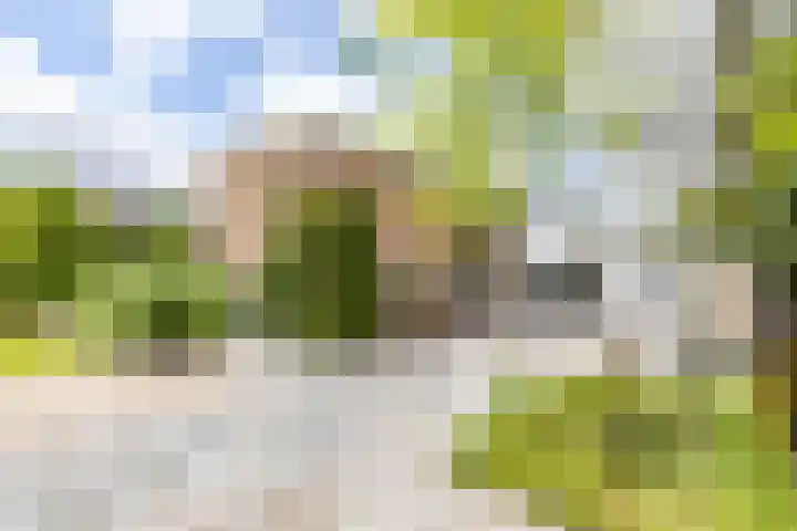 Vlotterspad 1 Delfzijl thumbnail 5
