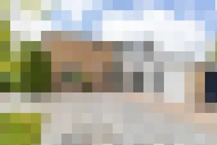 Vlotterspad 1 Delfzijl thumbnail 6
