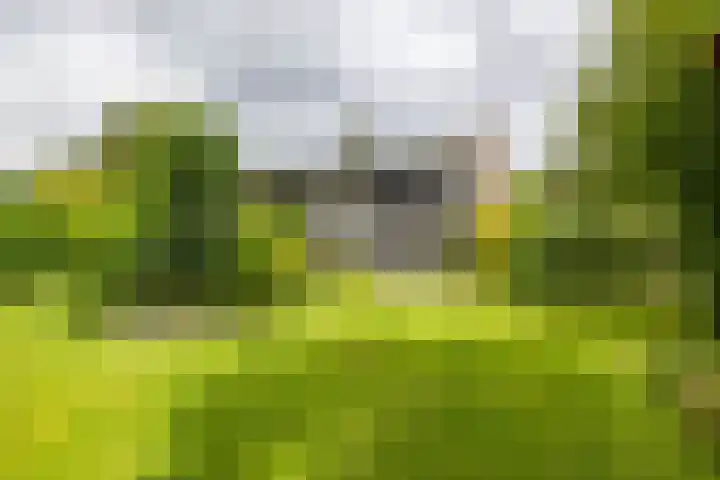 Vlotterspad 1 Delfzijl thumbnail 60