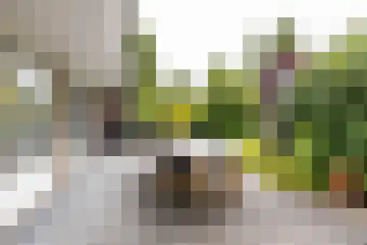 Vlotterspad 1 Delfzijl thumbnail 61