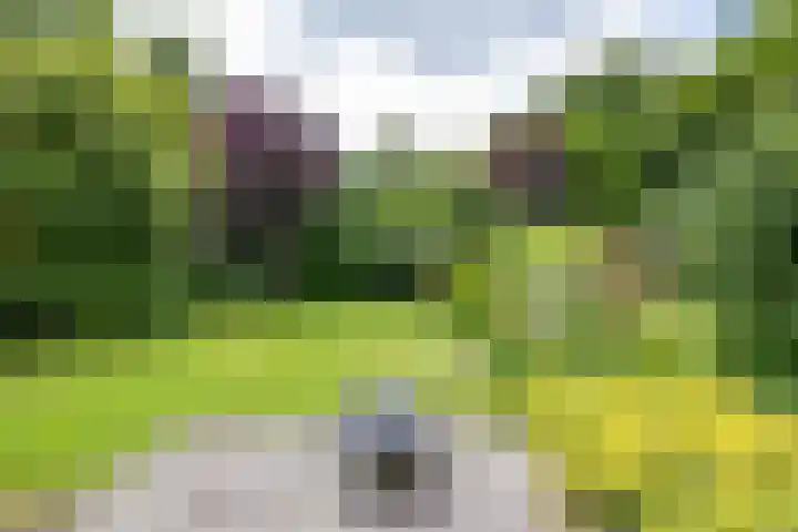 Vlotterspad 1 Delfzijl thumbnail 63