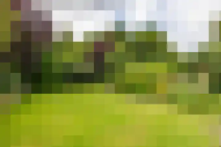 Vlotterspad 1 Delfzijl thumbnail 64