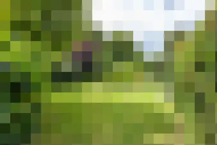 Vlotterspad 1 Delfzijl thumbnail 65