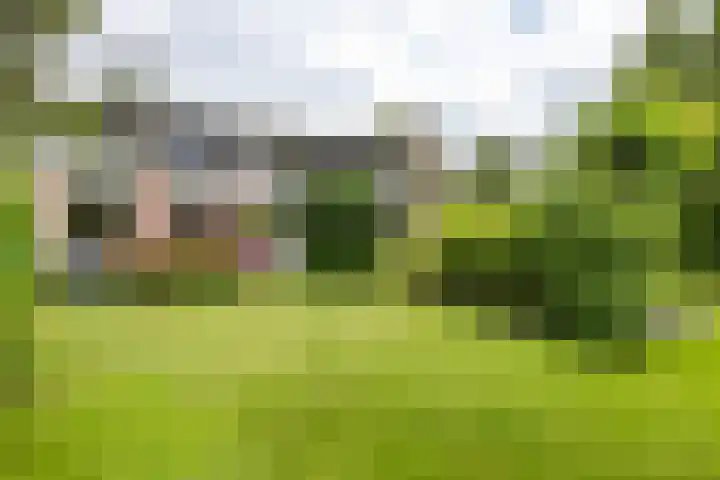 Vlotterspad 1 Delfzijl thumbnail 66
