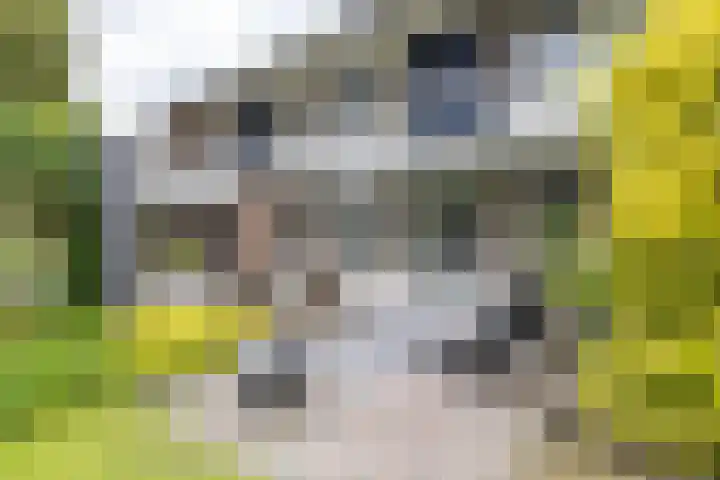 Vlotterspad 1 Delfzijl thumbnail 67