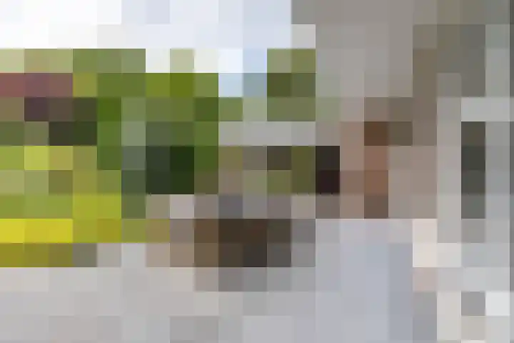 Vlotterspad 1 Delfzijl thumbnail 68