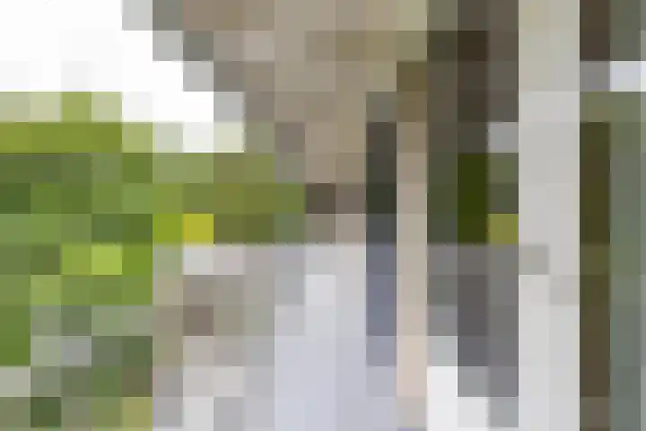 Vlotterspad 1 Delfzijl thumbnail 69