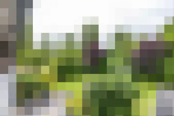 Vlotterspad 1 Delfzijl thumbnail 70