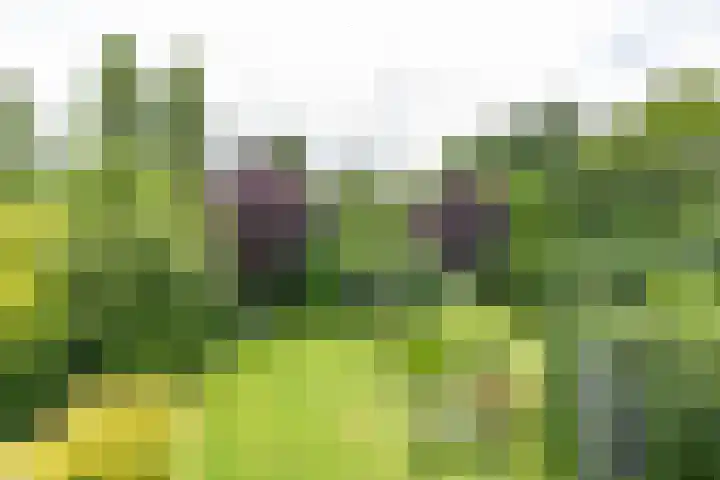 Vlotterspad 1 Delfzijl thumbnail 71