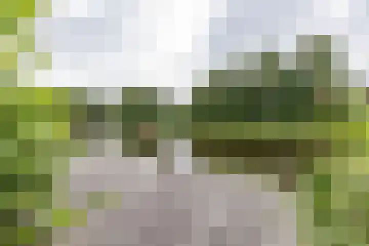 Vlotterspad 1 Delfzijl thumbnail 72