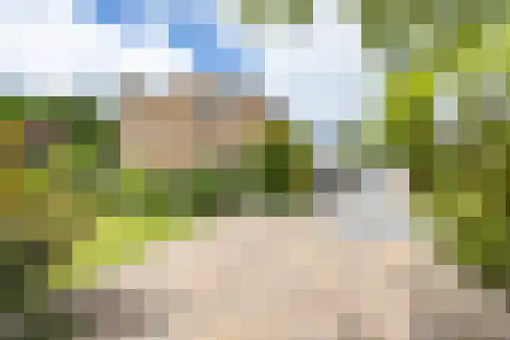 Vlotterspad 1 Delfzijl thumbnail 75