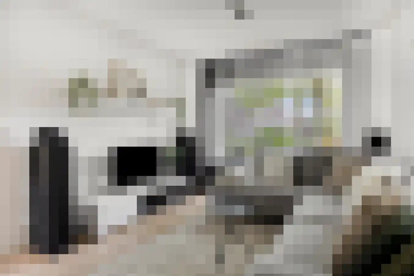Vlouwakkers 23 Annen thumbnail 10