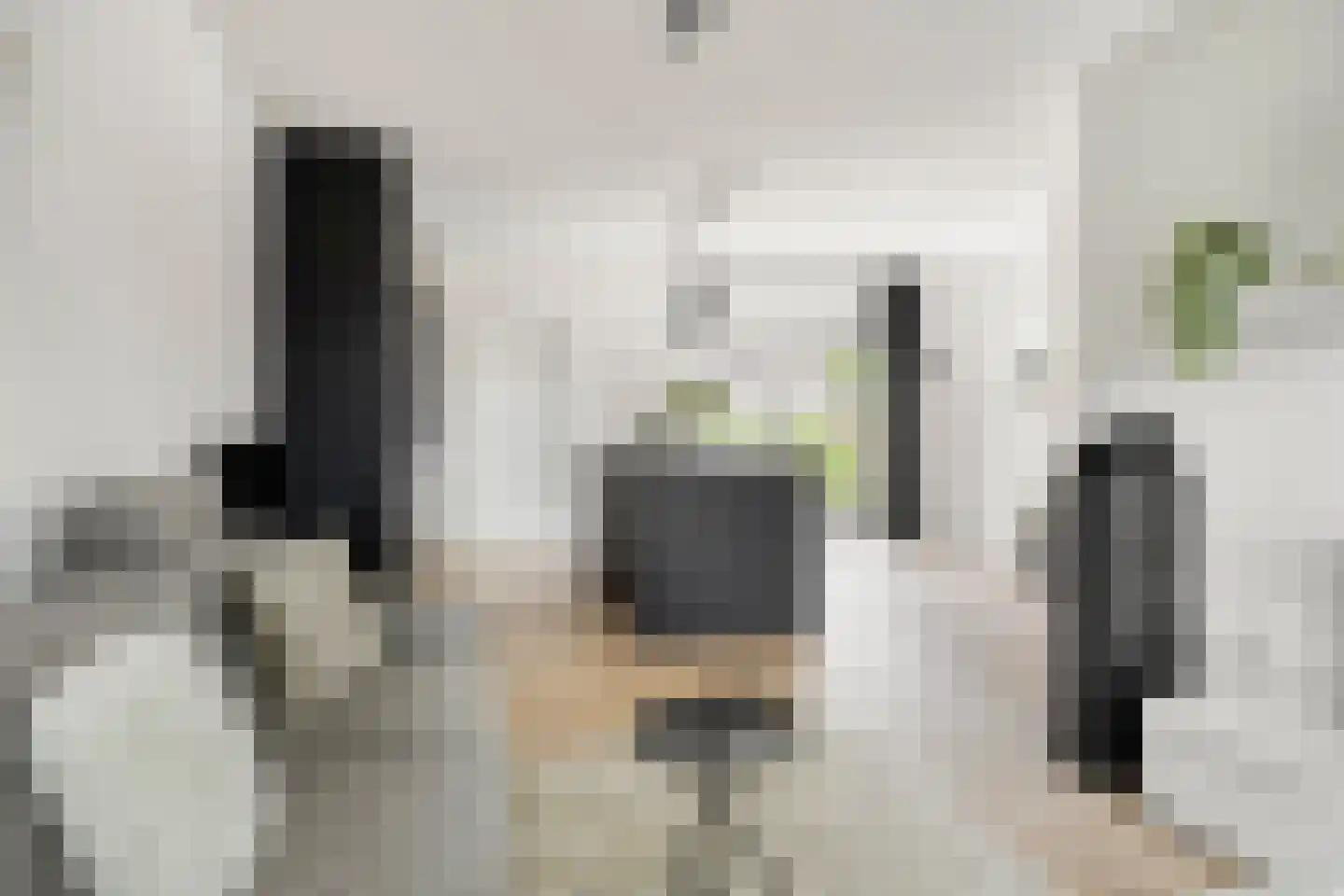 Vlouwakkers 23 Annen thumbnail 13