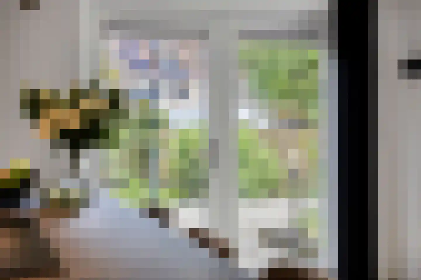 Vlouwakkers 23 Annen thumbnail 18