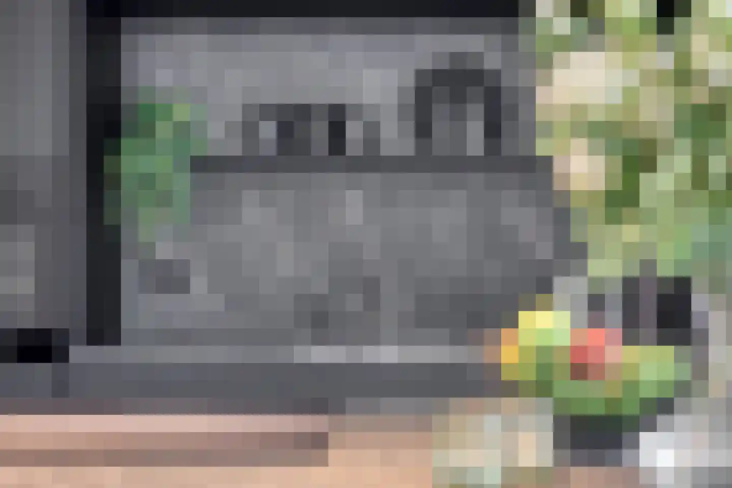 Vlouwakkers 23 Annen thumbnail 20