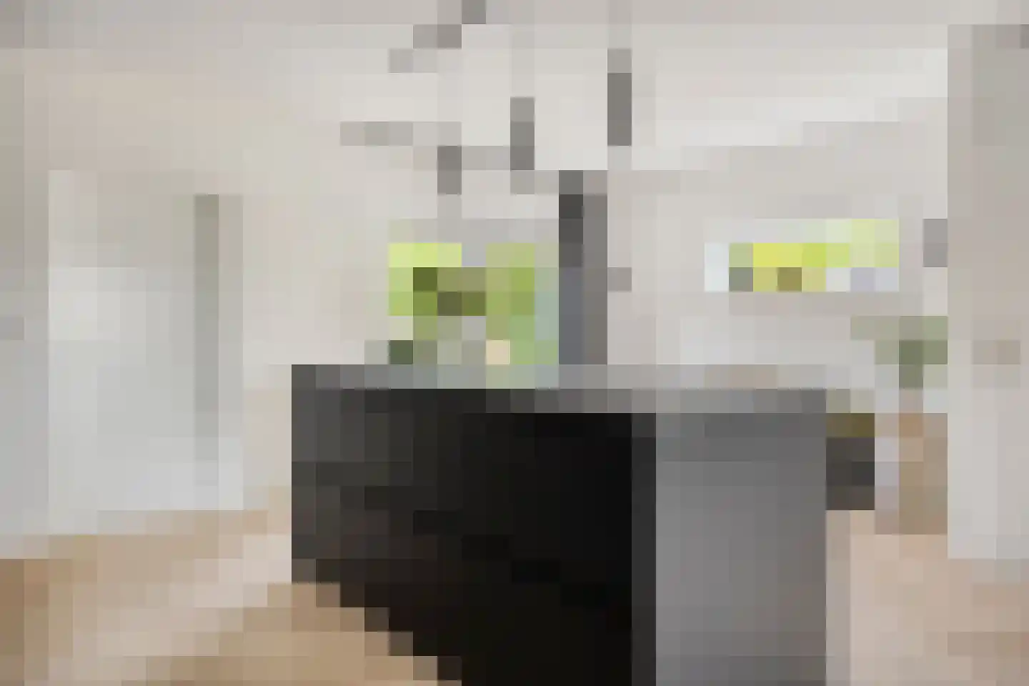 Vlouwakkers 23 Annen thumbnail 21