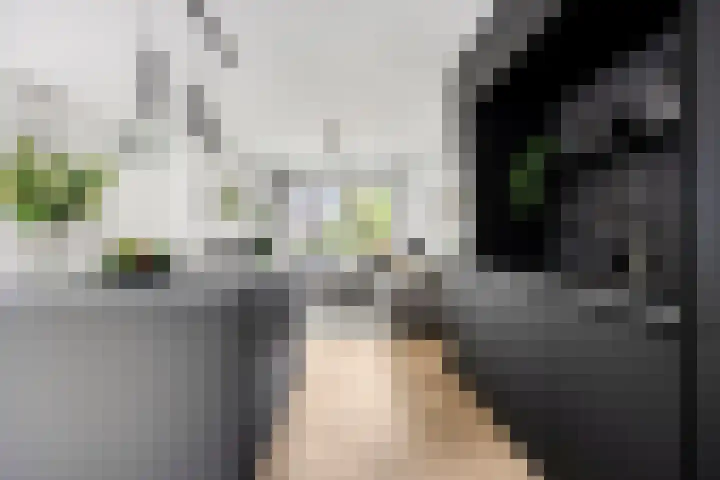 Vlouwakkers 23 Annen thumbnail 22