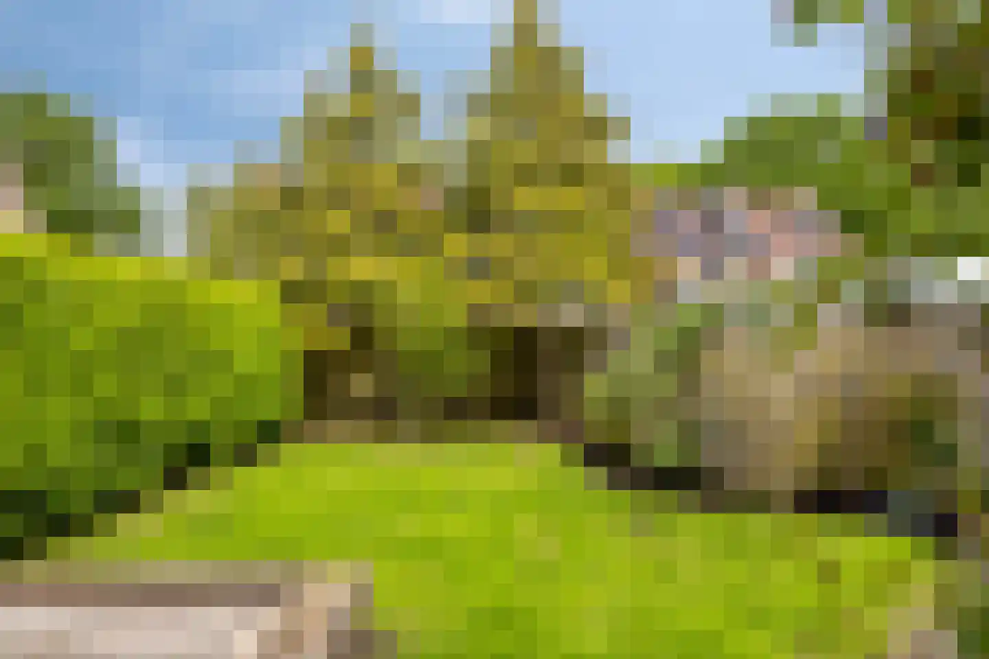 Vlouwakkers 23 Annen thumbnail 4