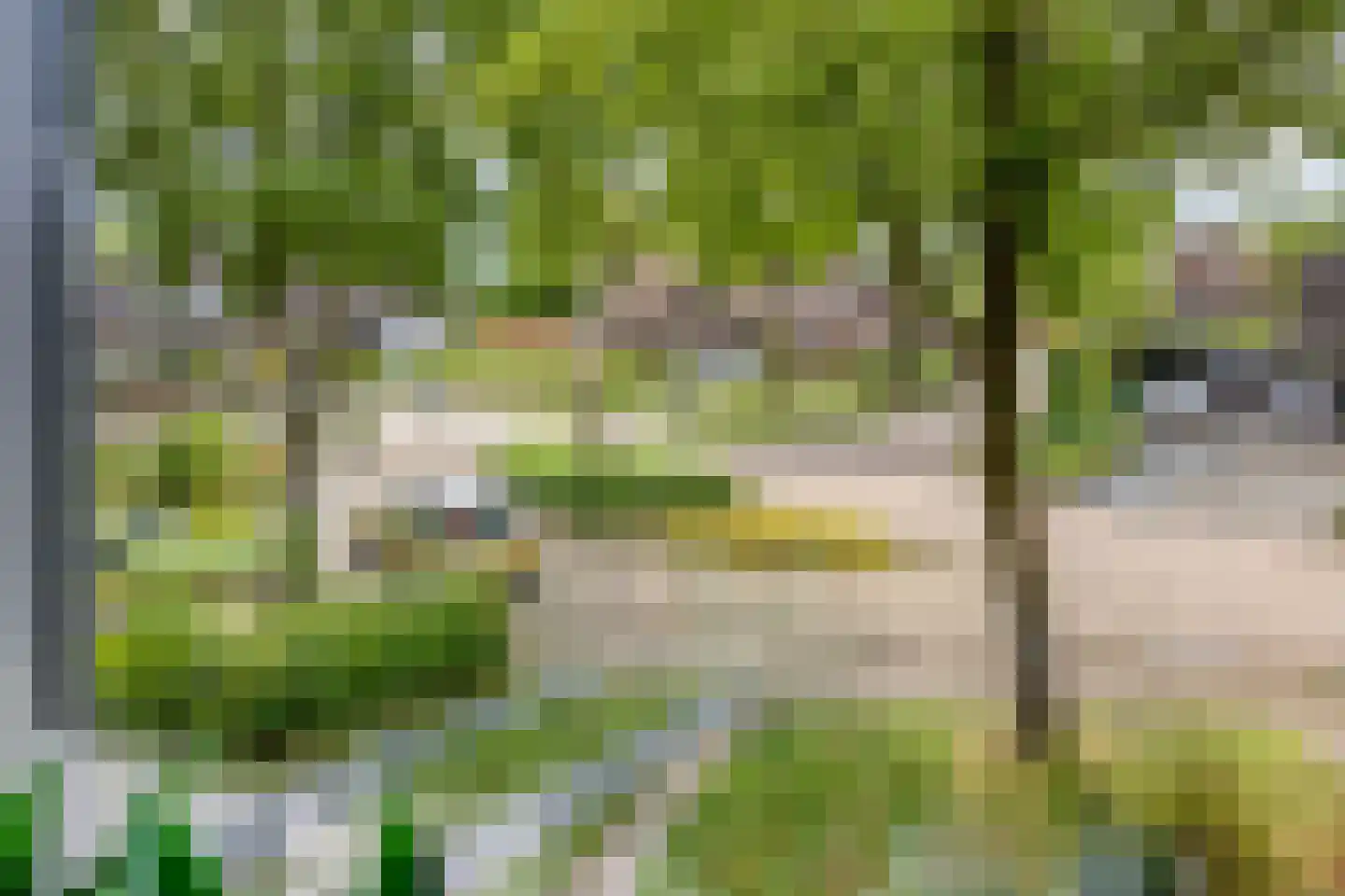 Vlouwakkers 23 Annen thumbnail 50