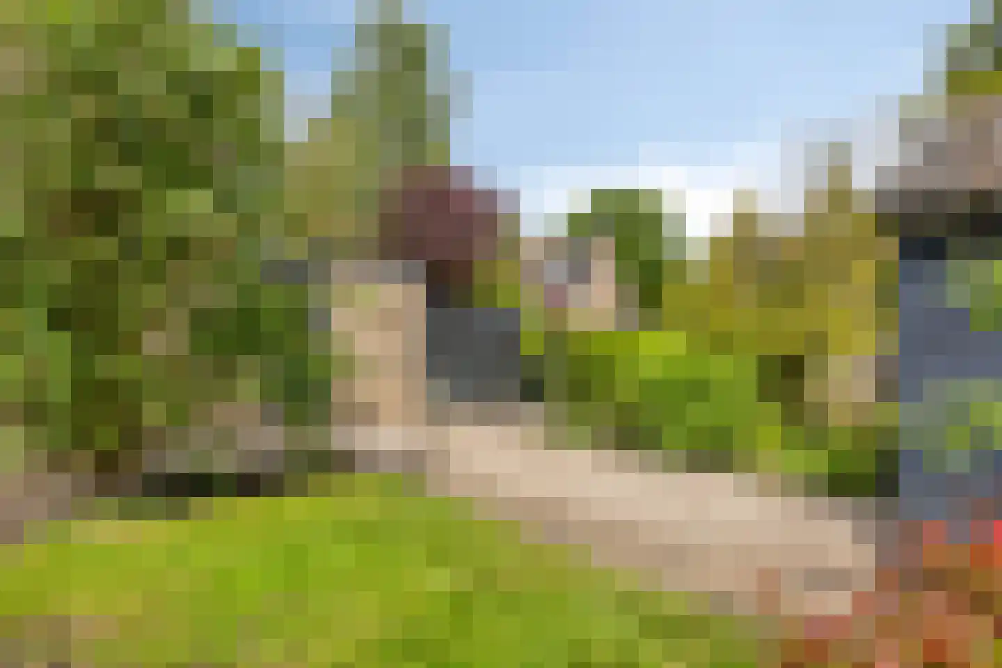 Vlouwakkers 23 Annen thumbnail 52