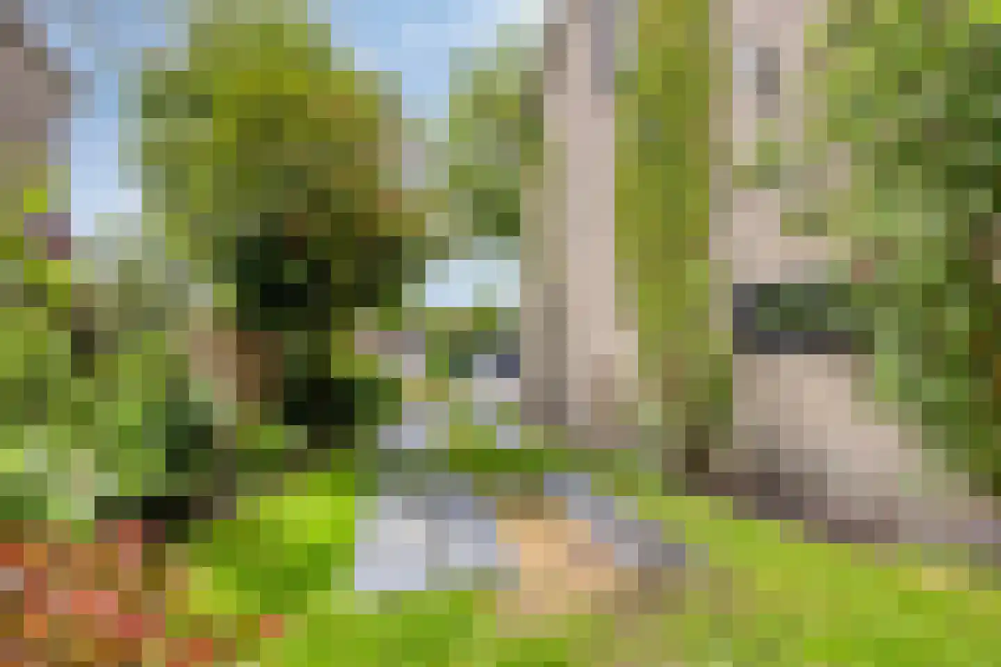 Vlouwakkers 23 Annen thumbnail 54