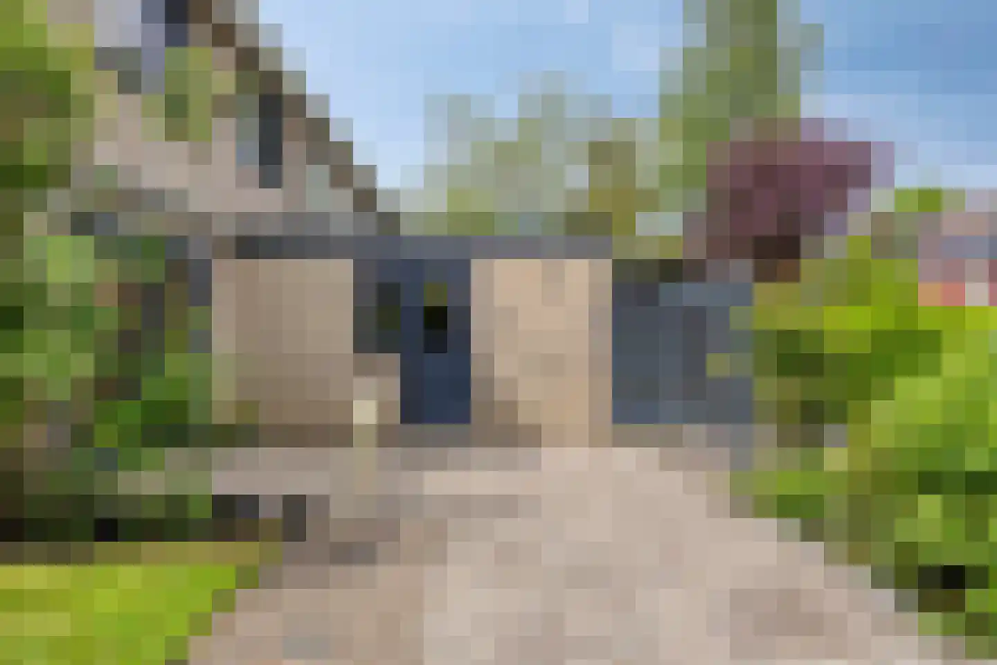 Vlouwakkers 23 Annen thumbnail 55