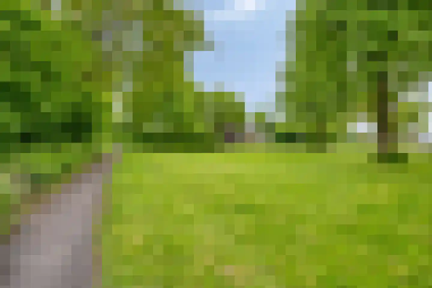 Vlouwakkers 23 Annen thumbnail 61