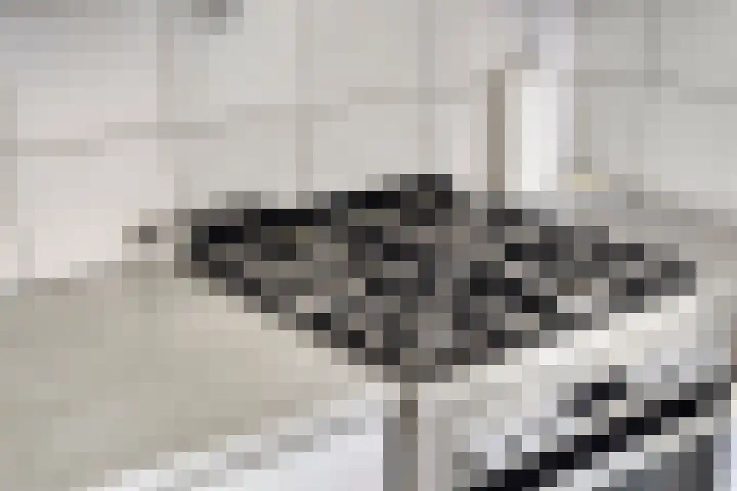 Vlouwakkers 3 Annen thumbnail 16
